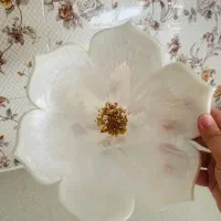 سینی  رزین|صنایع دستی و سایر لوازم تزئینی|تهران, امام خمینی|دیوار