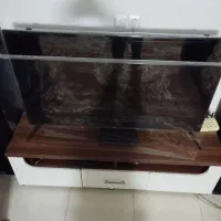 محافظ تلویزیون55|تلویزیون و پروژکتور|چناران, |دیوار