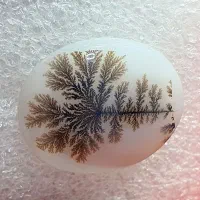 شجر منظره فوق کلکسیونی