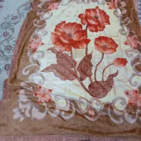 پتو گلبانگ نو  و پرده