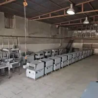 تاپینگ  سرخکن طرح دین  گرم کن  یخچال ایستاده  گریل