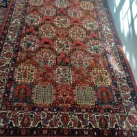 قالی|فرش|سامان, |دیوار