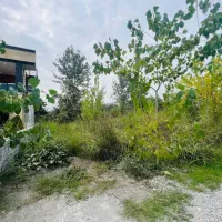 زمین ۲۳۰ متری %سند ششدانگ %بمب هفته