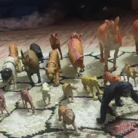 حیوانات جنگل