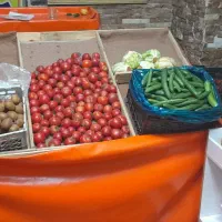 لوازم میوه فروشی