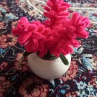 گل مخملی|گل مصنوعی|سنندج, |دیوار