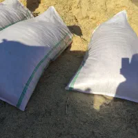 کاه کمپاین گندم دیم