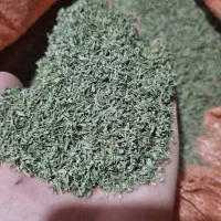 خریدار عمده گیاهان دارویی هستیم