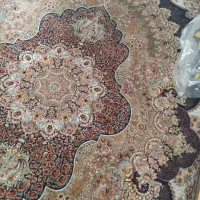 فرش 9 متری|فرش|پرند, فاز ۴|دیوار