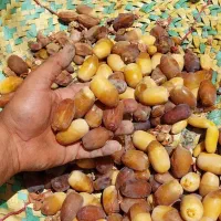 شیرین و مقوی ر. ط. ب|خوردنی و آشامیدنی|شیراز, شاهچراغ|دیوار