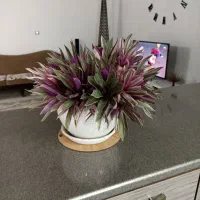 گل و گلدان زیبا و شاداب