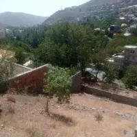 آبعلی 363متر سند تگ برگ(سبز)