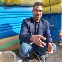 ارسال کاه خشک و نرم وتازه به تمام نقاط