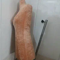 یه عدد مانکن .سالم هستن.