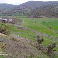 فروش خانه وزمین|فروش خانه و ویلا|نمشیر, |دیوار