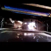 فروش اجاقگاز فردار|اجاق گاز و لوازم برقی پختوپز|بن, |دیوار