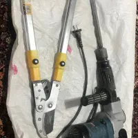 پیکور  و قیچی درخت چینی