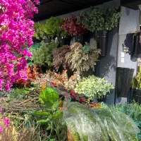 نظافتچی خانم برای فروشگاه