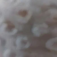 نان خشک تمیز وسالم