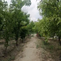 1054متر چهار دیواری مستقل دسترسی بافت شهری فرارت