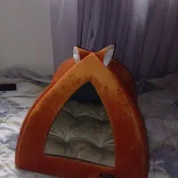 خانه گربه