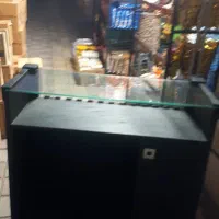 میزکار|فروشگاه و مغازه|رشت, شالکو|دیوار