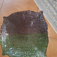 ظرف پذیرایی