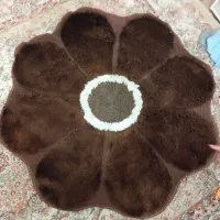 پادری