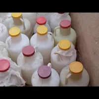 کالن ترشی ۳۰ عدد فروشی