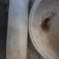 روشویی|لوازم حمام|نیشابور, تریا پارک|دیوار