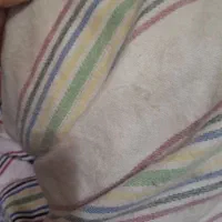 چادر پرشیا درحدنو|قطعات یدکی و لوازم جانبی|قم, چهل اختران|دیوار