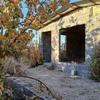 زمین باغی وویلایی