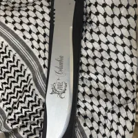 دراگون نوع نو