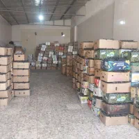 عمده فروشی ذغال