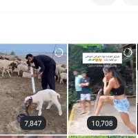 پیج ۱۲۷کا واقعی