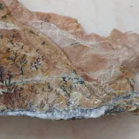 سنگ تزئینی و اکواریومی