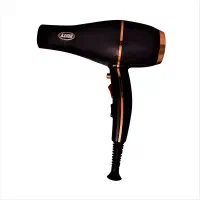 سشوار حرفه ای با 6 سال گارانتی شرکتی معتبر|آرایشی، بهداشتی، درمانی|تهران, الهیه|دیوار