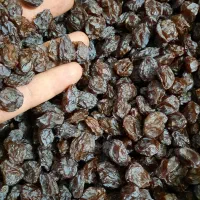 کشمش و مویز شیراز