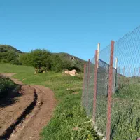 زمین زراعی بره سر (طالکوه)با اجازه ساخت ویلا|فروش دفتر صنعتی، کشاورزی، تجاری|برهسر, |دیوار