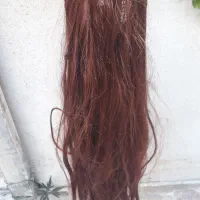 کلاه گیس