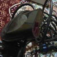 ماهی یاب لورنس