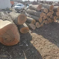 فروش چوب گردو