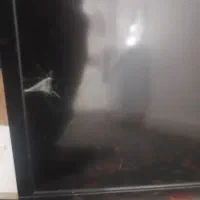 تلویزیون ۵۰اینچ شارپ|تلویزیون و پروژکتور|سوسنگرد, |دیوار