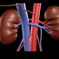 کلیه سوالات در مورد کلیه