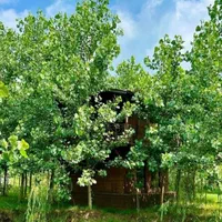 ویلا/کلید تحویل/آینده دار|فروش خانه و ویلا|اشتهارد, |دیوار