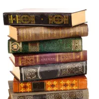 یار برگ