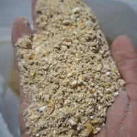 خوراک طیور