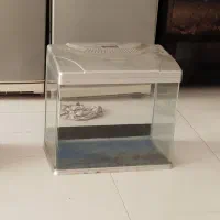 اکواریوم شیشه خم بغلش یه ترک داره ک چسب خورده