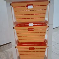 جای سیب زمینی پیاز
