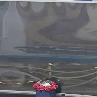 تلویزیون ال ای دی 55